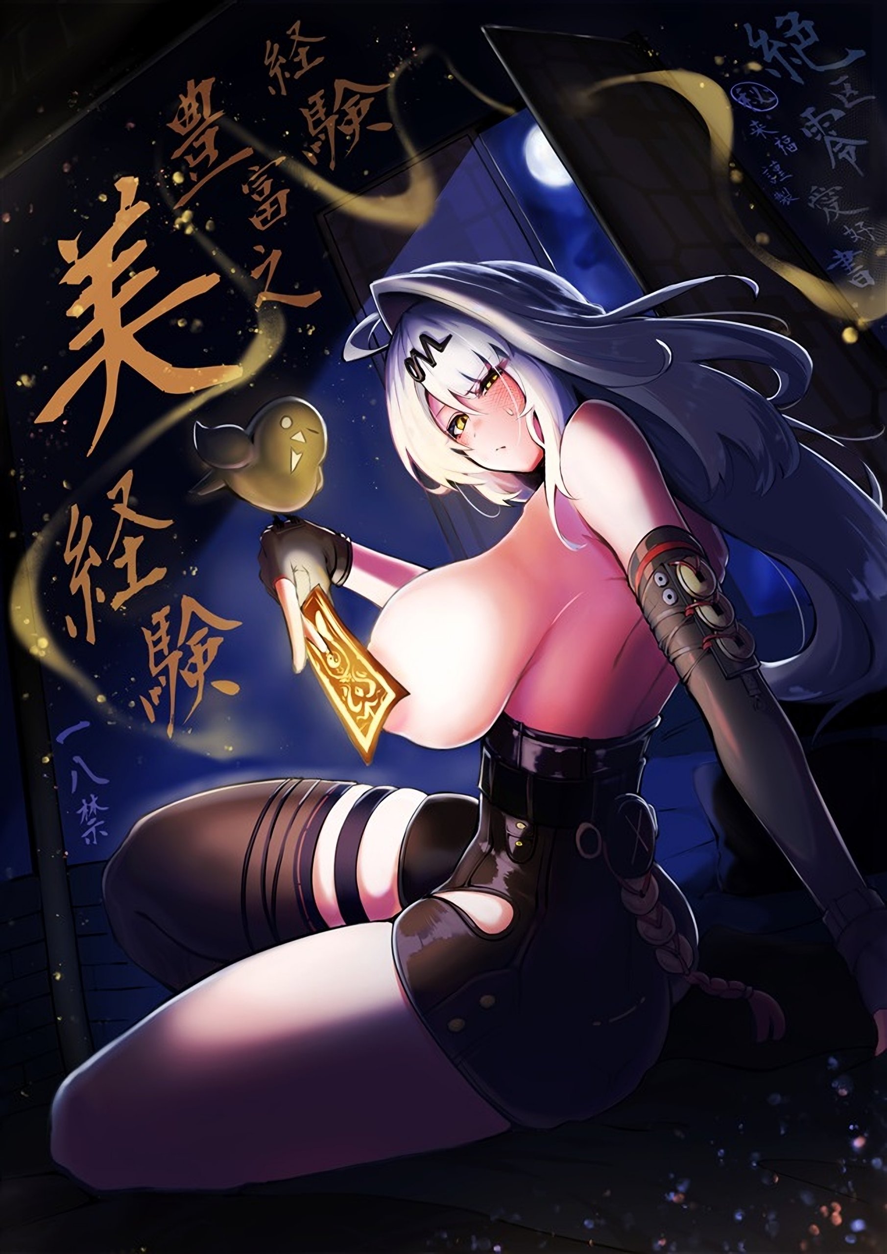 経験豊富之美経験 (ゼンレスゾーンゼロ)