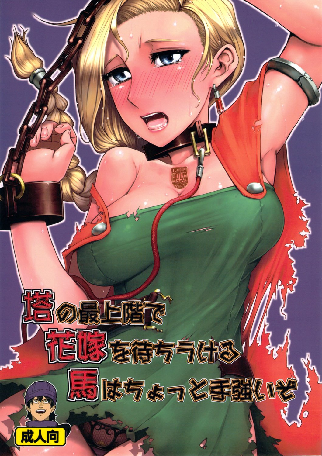 (C81) [A・S・Gグループ (みそのう)] 塔の最上階で花嫁を待ちうける馬はちょっと手強いぞ (ドラゴンクエストV)